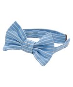 Corbatin-para-mascotas-Mascotas-Azul
