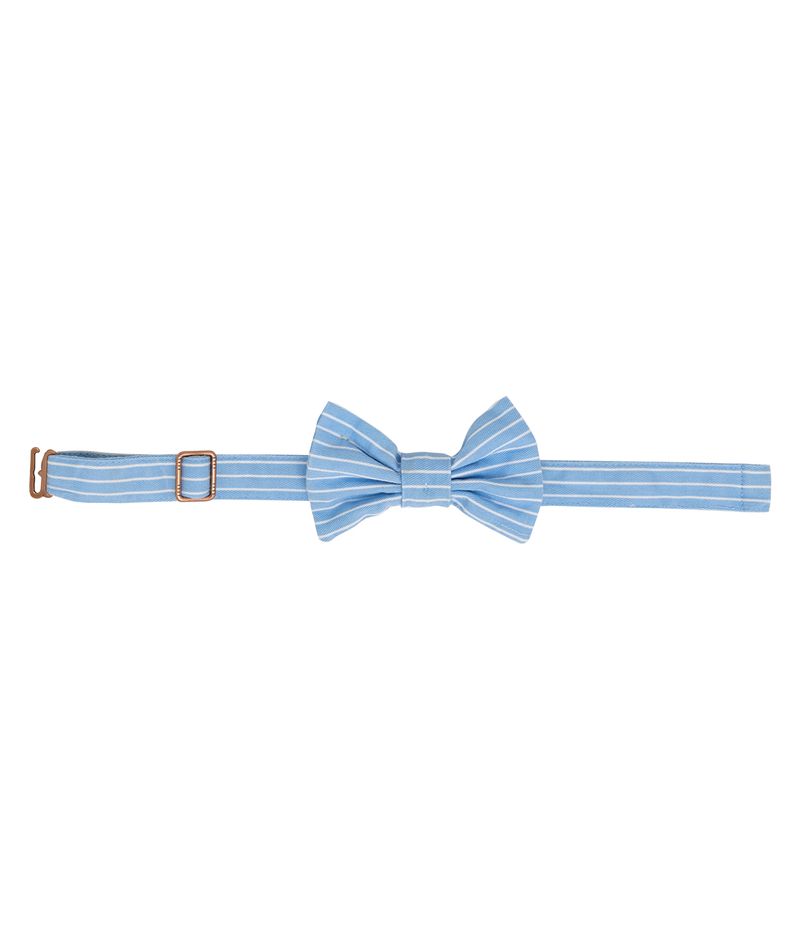 Corbatin-para-mascotas-Mascotas-Azul