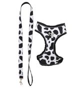 Pechera-reflectiva-para-mascotas-Mascotas-Blanco