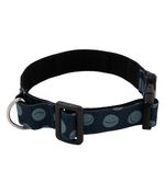 Collar-y-correa-para-mascotas-Mascotas-Azul