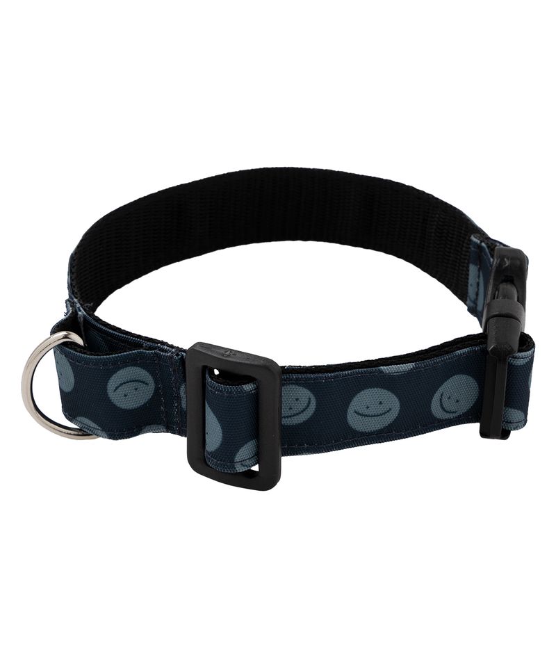 Collar-y-correa-para-mascotas-Mascotas-Azul