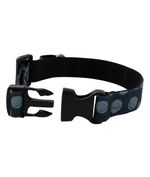 Collar-y-correa-para-mascotas-Mascotas-Azul