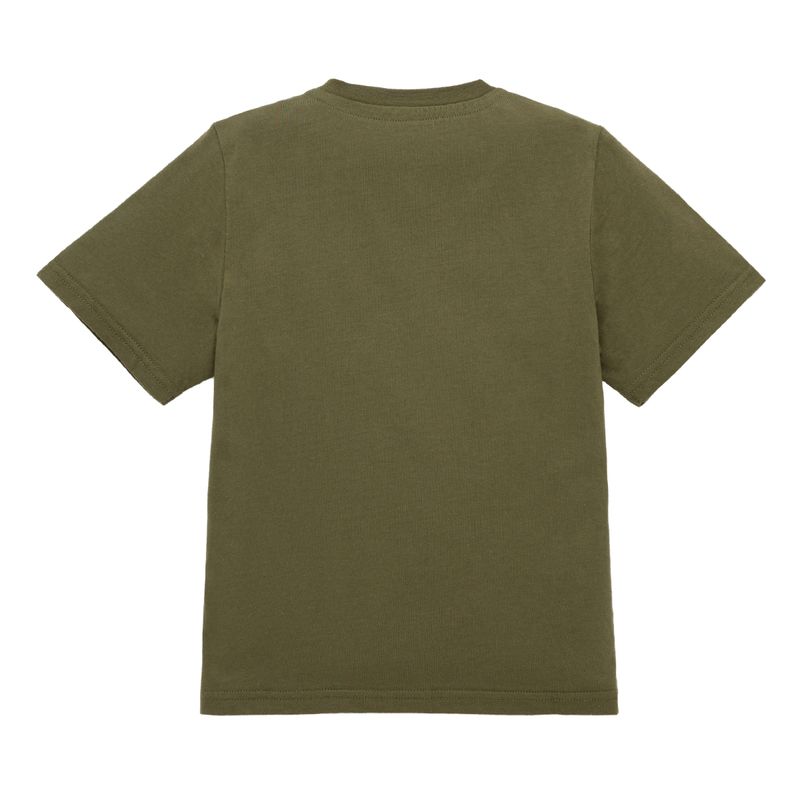 41333982-Verde-18-0523_2