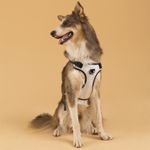 Pechera-para-mascotas