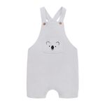 Conjunto-corto-para-recien-nacido-niño-Ropa-recien-nacido-nino-Gris