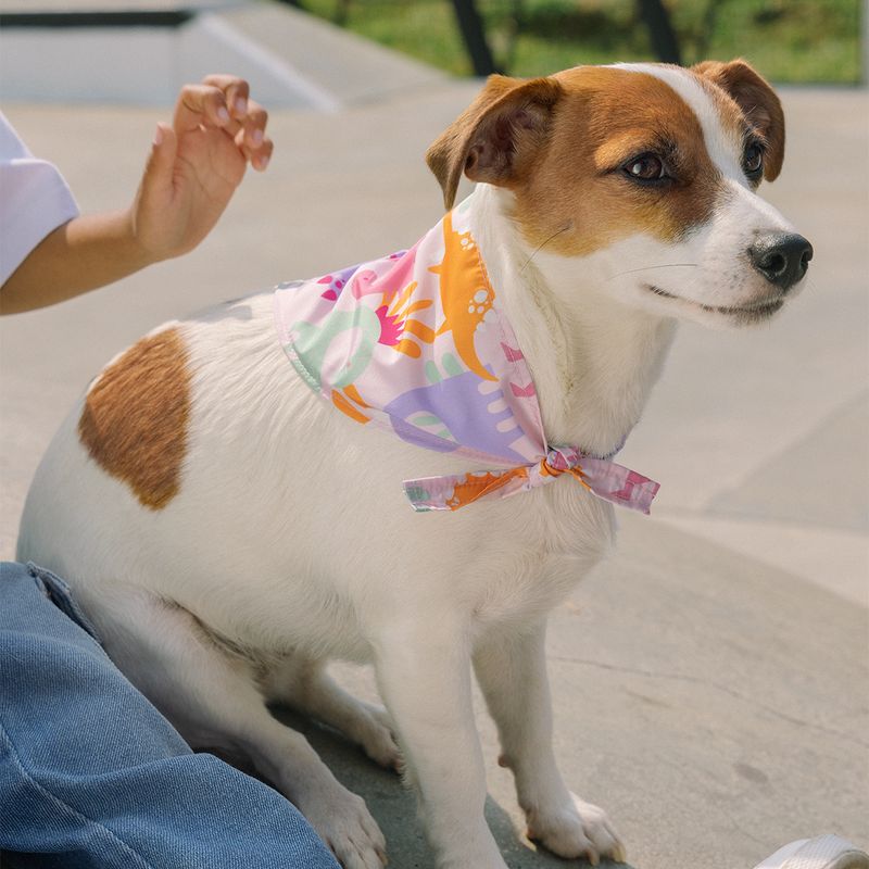 Pañoleta-para-mascotas