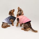 Chaleco-para-mascotas