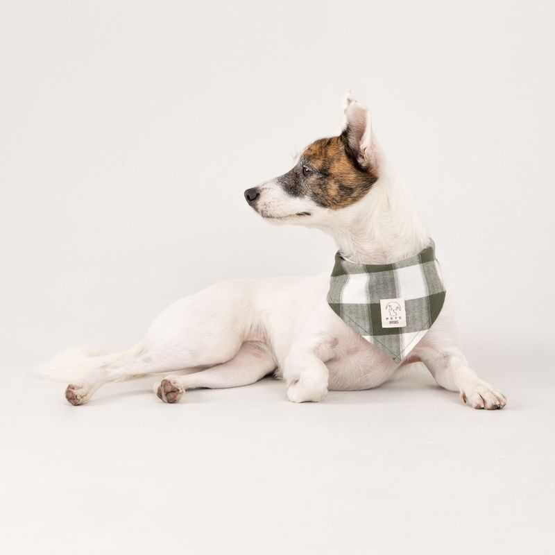 Hueso-de-juguete-para-mascotas