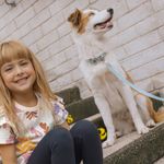Collar-para-mascotas-Mascotas-Azul