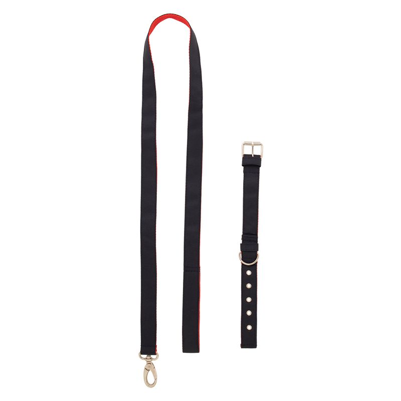 Collar-con-correa-para-mascotas