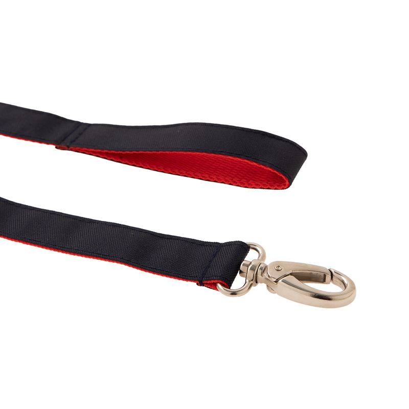 Collar-con-correa-para-mascotas