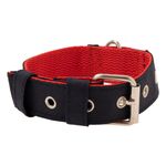 Collar-con-correa-para-mascotas