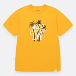Camiseta-manga-corta-para-nino