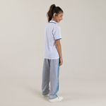Camiseta-polo-Theodoro