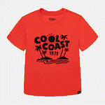 Camiseta-surtida-para-nino