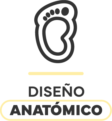 Diseño anatómico