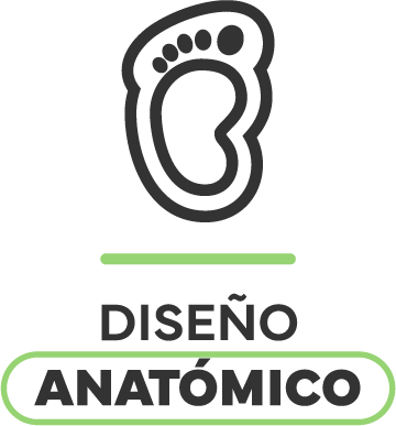Diseño anatómico